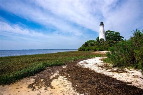 St. Marks River Preserve State Park Florida State …