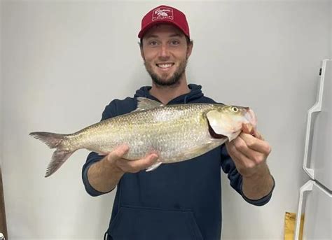 St. Peters man catches state record fish from Missouri River