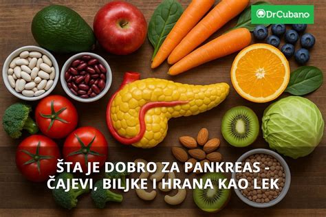 Sta je pankreas.  Za &scaron;ta je &Scaron;ta je pankreas? by Gary Gilles Va&scaron; pankre...