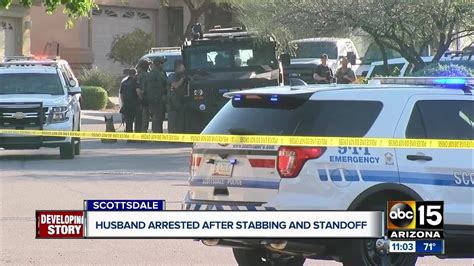 A Scottsdale resident has been arrested for the murder of Lauren Heike.; Military moms-to-be will be treated to high-end dining.; A project to plant 441 trees around the city is complete.. Stabbing in scottsdale