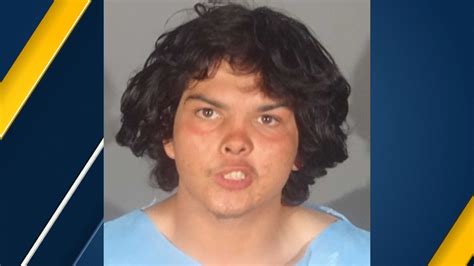 Stabbing suspect in Santa Monica arrested
