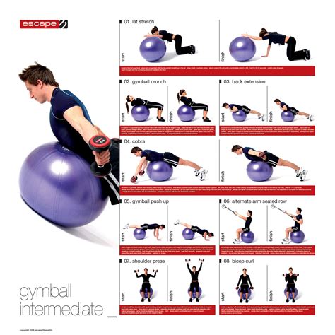 Stability ball training a guide for fitness professionals from the american council on exercise. - Face2face 2nd edition students book with dvd rom.
