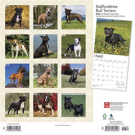 Staffordshire bull terriers 2008 slimline calendar. - Zur kenntnis der variabilität und vererbung am zentralnervensystem des menschen und einiger säugetiere..