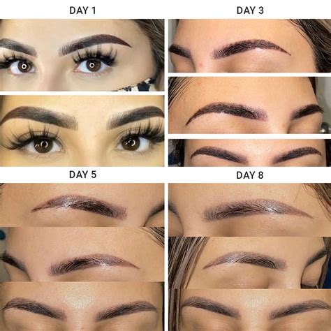 Stages Of Getting Your Brows Done For The 1st Time