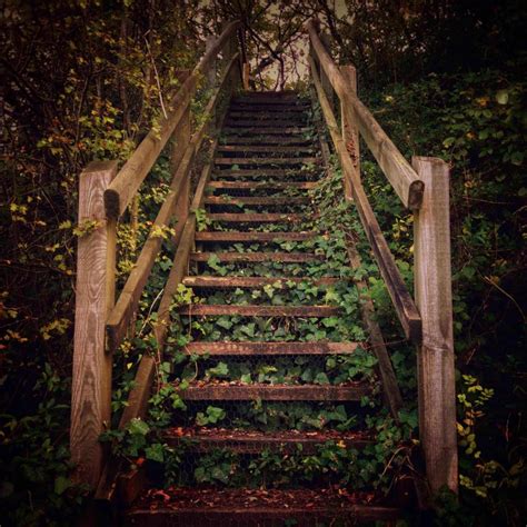 Staircases in the woods. In a clip about the random staircases sometimes found in woodland areas, Jessii said: "If you ever see a random staircase in the woods, you have to get away as fast as you can - never climb them ... 