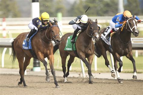 Stakes bet
