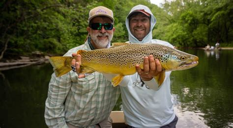 Stalking trophy brown trout a fly fisher s guide to catching the biggest trout of your life. - 5 levels of leadership study guide.