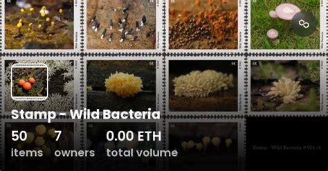 Stamp - Wild Bacteria #5006 - Stamp - Wild Bacteria OpenSea