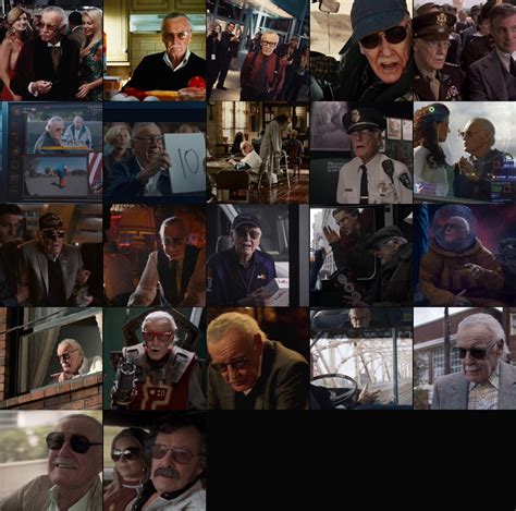 Stan lee cameos in order