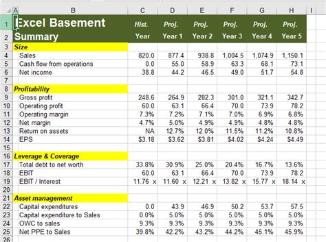 Standard 5 Years Projections Financial Excel Model Eloquens