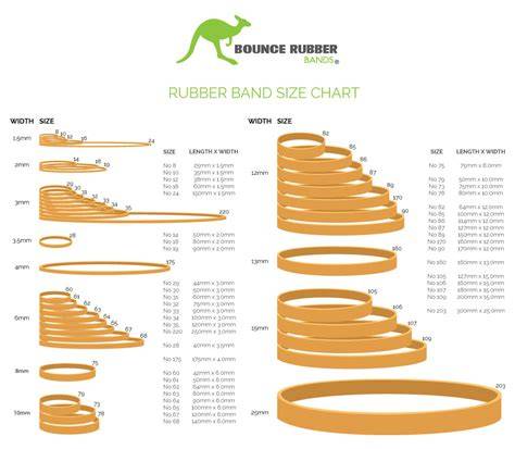 Standard rubber band size.  In this comprehensive guide, we'll delve into the w...