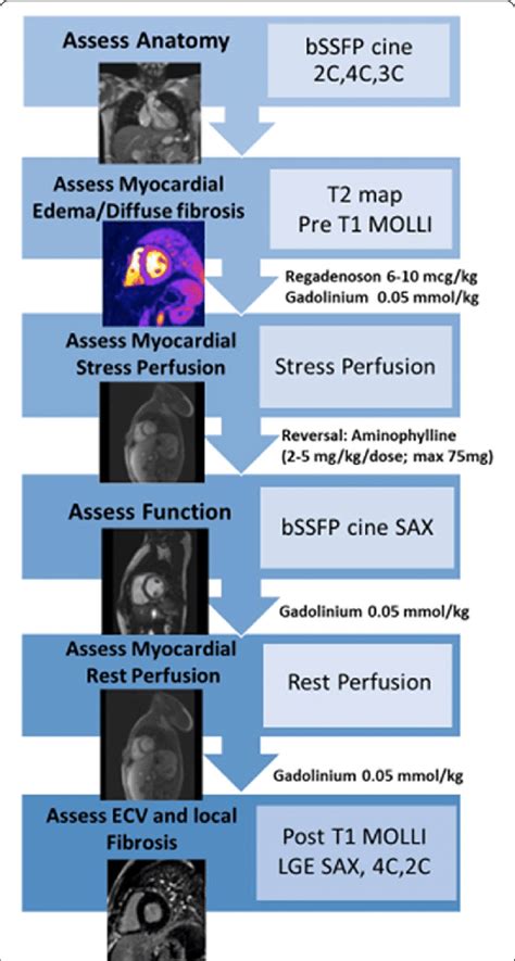 Standardized cardiovascular magnetic resonance (CMR) …