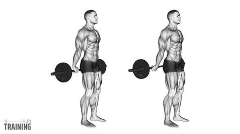 Standing wrist curls.  Instructions for the barbell wrist curl exercise...