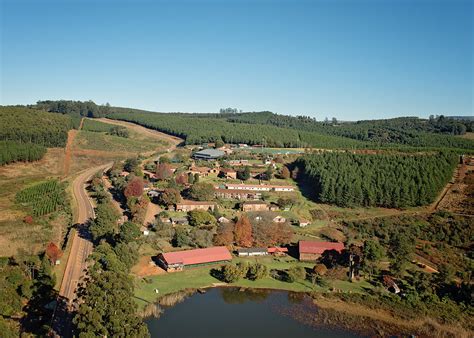 Stanford Lake College