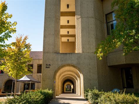 Stanford Law School Student