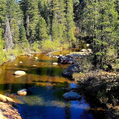 Stanislaus River Stanislaus River Campgrounds