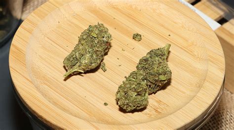 Stank breath strain review. .  <a href=https://admin-demos.7steps.ai/assets/images/0cq...