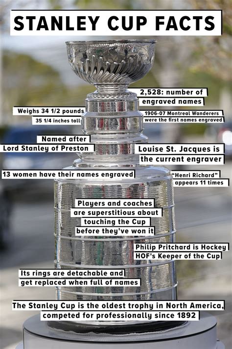 Stanley cups: What are they, and why are they so popular?