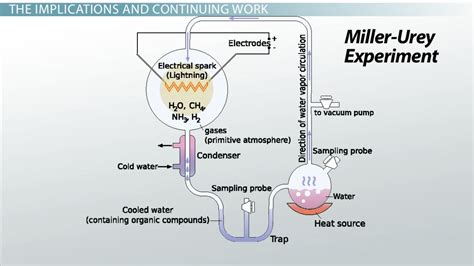 Stanley miller theory