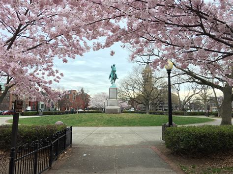 Stanton Park - Park in Capitol Hill - foursquare.com