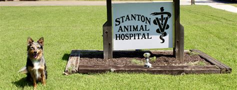 Stanton animal hospital. Things To Know About Stanton animal hospital. 