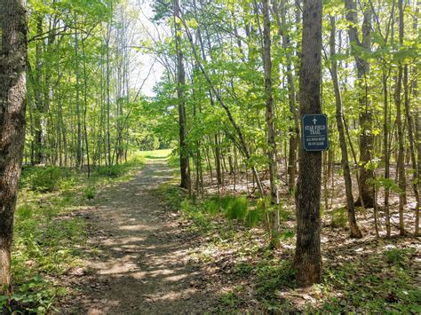 Star Field - Otsego Outdoors