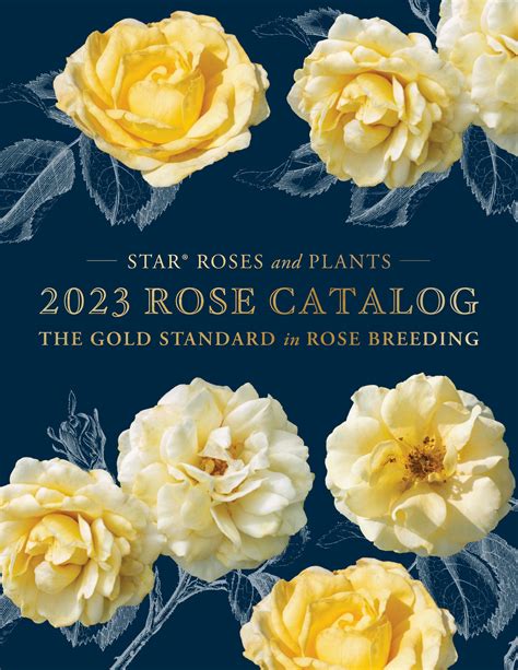 Star Roses 2023 Catalog