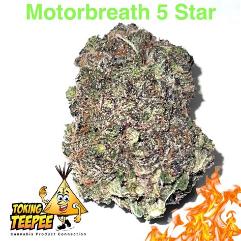 Star force strain. Be patient with this one. Once you’re through the first round, the mushrooms on this strain come through with a ton of force. This mushroom is on the low-end of average in terms of potency. Recent … 
