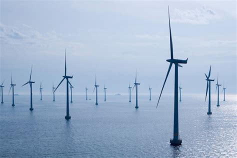 Star of the South Offshore Wind Farm - Planning