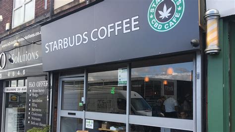 Starbuds thornton. July 28, 2020 12:02 ET | Source: Starbuds KINGSTON, Jamaica, July 28, 2020 (GLOBE NEWSWIRE) -- Star Buds’ first location in Jamaica is now open at 72B HOPE ROAD - KINGSTON 6, JAMAICA. ... 