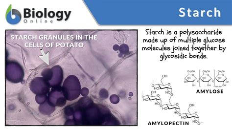Starch