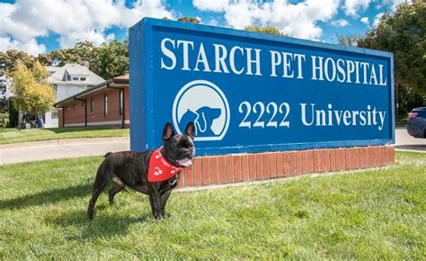 Starch pet hospital. Starch Pet Hospital has been serving the community as a full-service veterinary medical facility for over 70 years. Their comprehensive range of services is dedicated to pets and delivered by a team of qualified veterinarians who are committed to providing the best possible care. The hospital has a specialized focus on senior … 