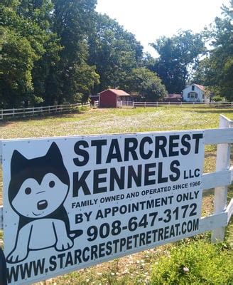 Starcrest kennels. 5 reviews and 4 photos of Starcrest Kennels "We have a very large dog and looked everywhere for a place we can trust. Starcrest kennels was very flexible in the drop off and pick up time. Also was understanding when we had to extend our dogs stay. The grounds are wonderful as well as the inexpensive walks. 