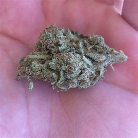 Stardawg guava tincture.  This strain hits the consumer square between th...