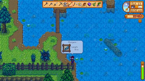 Stardew Sturgeon Guide How to catch the Sturgeon in Stardew …