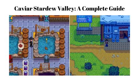 Stardew Valley A Complete Guide To Caviar