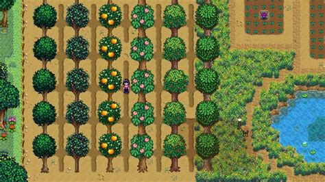Stardew fruit tree spacing. A suggestion I have read is to grow fairy rose in those walnut spots, and then surround them with beehives. I like your idea of planting fruit trees better, though. I think it looks less out of place than a cluster of little buildings. I'll probably do some of each, depending on how many mango and banana saplings I can accumulate. 