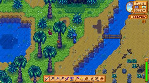 The Gem Birds that appear on Ginger Island in Stardew Valley can give players more than just gems if they find the right hidden area. This article is part of a directory: Stardew Valley: A Complete Guide and Walkthrough. Beginner Guides. Basic Mechanics And Getting Started In The Valley. Beginner Guide: Creating a File.