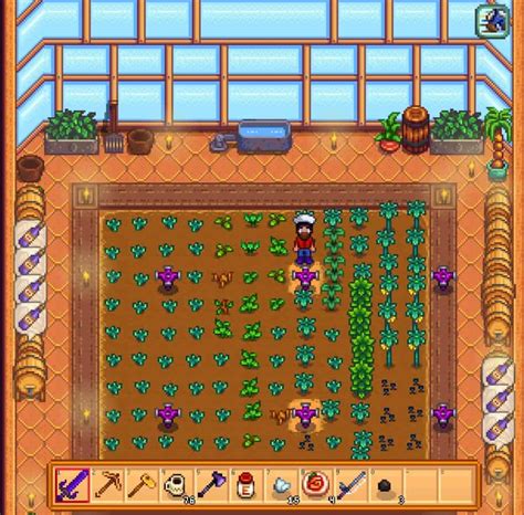 Stardew rare seed. Ancient seeds grow spring through fall, and yield ancient fruit every week once mature. Best strategy is to plant them in your greenhouse (once you have a greenhouse), and place the fruit in your seed maker to get more plants. Repeat every week until your greenhouse is full. With ideal sprinkler placement, you can have 116 ancient fruit from ... 