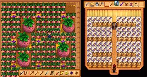 Stardew valley best fruit for wine. Hated Gifts: All Universal Hates (except Poppy and Red Mushroom), Beer, Grape, Holly, Hops, Mead, Pale Ale, Pina Colada, Rabbit's Foot, Wine. Best Gifts After Marriage: Geode, Fried Eel. Penny's ... 