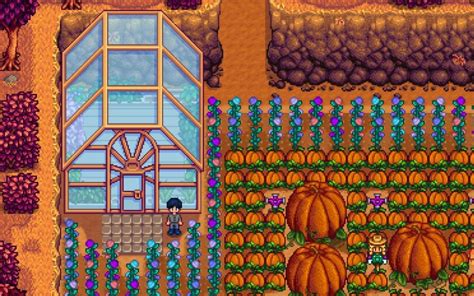 Stardew valley best greenhouse crops. Ancient fruit is the best money maker, with pomegranates around the edges. But I usually have a variety- strawberries, cranberries, blueberries, a corn for harvey's pickles, cactus for Sam & Linus, a pepper for Shane & lewis, peach tree for Robin, orange tree for Gus. 