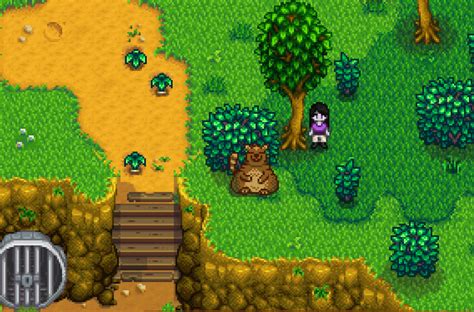 Stardew valley raccoon bear. Remove the trash from Pam’s front yard by her trailer home. Remove the trash by the water’s edge near The Sewers and replace it with bushes and trees. Upgrade the dog pen near the Stardrop ... 