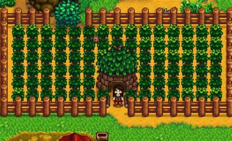 Stardew valley tea sapling. Nope. TonySyeet • 2 yr. ago. that took less than a minute for you to answer, thanks! MisterStardewValley • 2 yr. ago. They don't die, but they don't make leaves. TonySyeet • 2 yr. ago. Yeah I knew they didn’t make leaves, I posted this because I didn’t want to make a lot and have them all die in winter. _clash_8 • 2 yr. ago. 