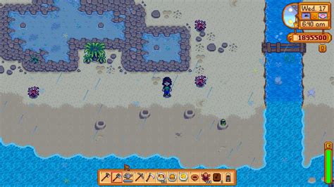 Stardew valley whack a mole. Locate the mole at the southeast side of the beach south of Birdie's hut. Lock it into a single hole by covering the other three holes with placeable objects. Then "whack the mole" by hitting it with the Axe, Pickaxe, or Watering Can to receive a golden walnut. The placeable objects can then be removed. 