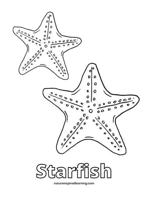 Starfish Coloring
