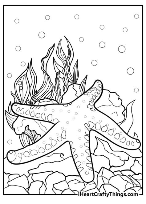 Starfish Coloring Shee