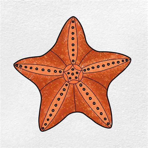 Starfish drawing. Step 1. Outline the star shape of the starfish body. Use five curved lines that mark the base of the starfish's body. Then, outline it to show the shape. Notice how it looks like five connected human languages. Step 2. Draw starfish rays in more detail. In our starfish, each of the five rays of the star is not just flat. 
