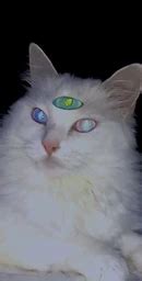 💋 Starrflesh Leaks XxX 227 Videos