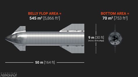 Starship and its Belly Flop Maneuver Everyday Astronaut