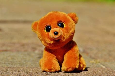 Start A Plush Toy Making Business - Business Ideas - Starter Story